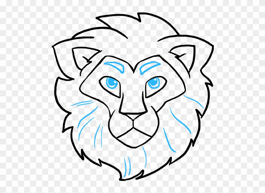 880x641 How To Draw Lion Head - Lion Head Drawing Step By Step