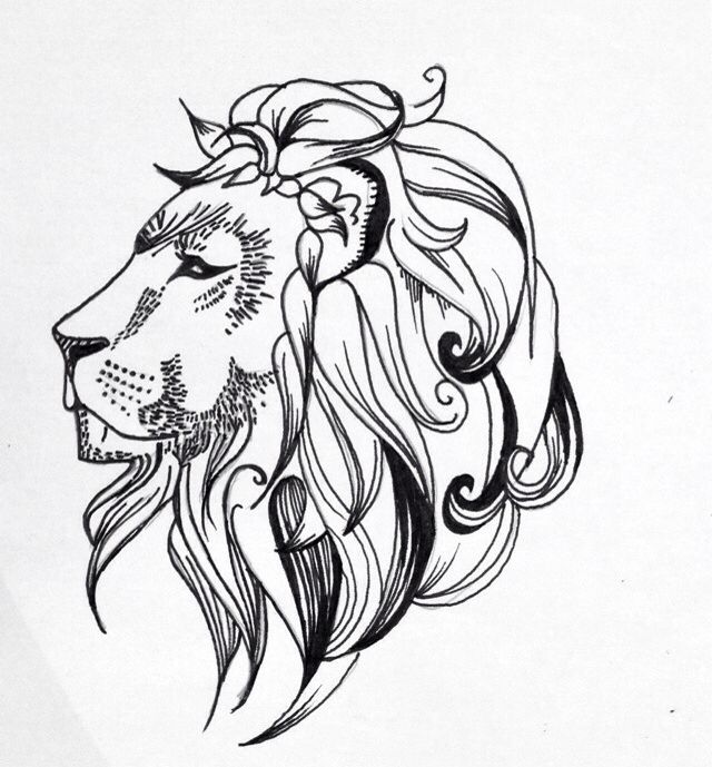 640x689 Huge Collection Of 'lion Head Line Drawing' Download More Than - Lion Head Line Drawing