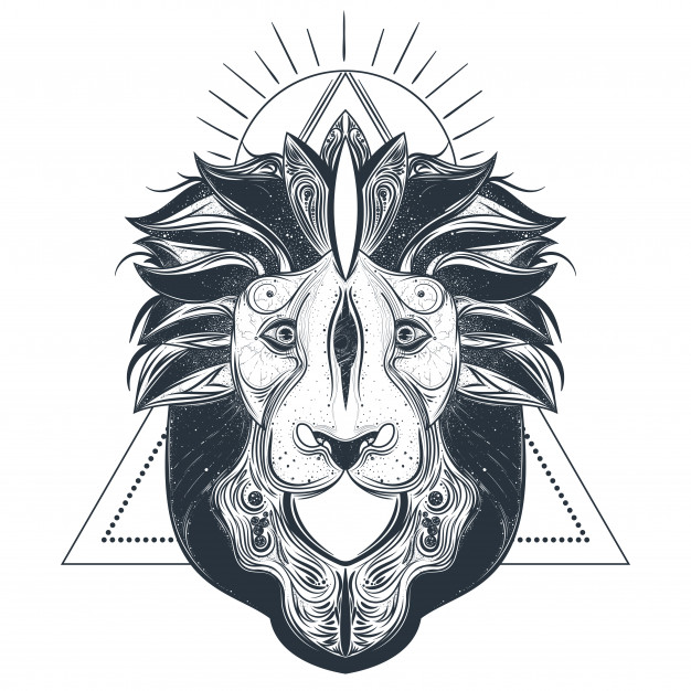 626x626 Lion Head Line Art Vector Illustration Vector Free Download - Lion Head Line Drawing