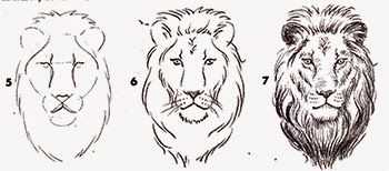 350x154 Simple Lion Head Line Drawing - Lion Head Line Drawing