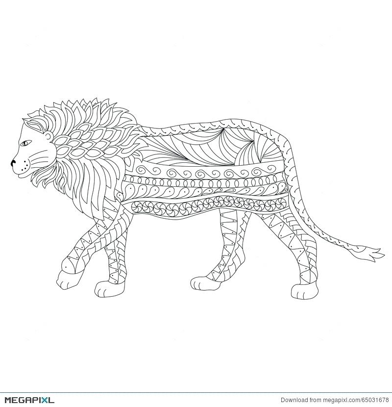 800x830 Hand Drawn Ornamental Outline Lion Body And Head Illustration Hand - Lion Head Outline Drawing