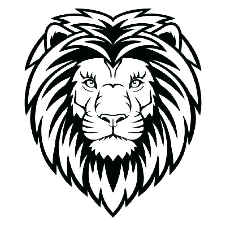 736x736 Lion Coloring - Lion Head Outline Drawing