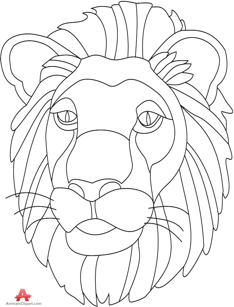 761x999 Lion Outline Drawing Pencil Animal At Com Free For Personal Use Baby - Lion Head Outline Drawing