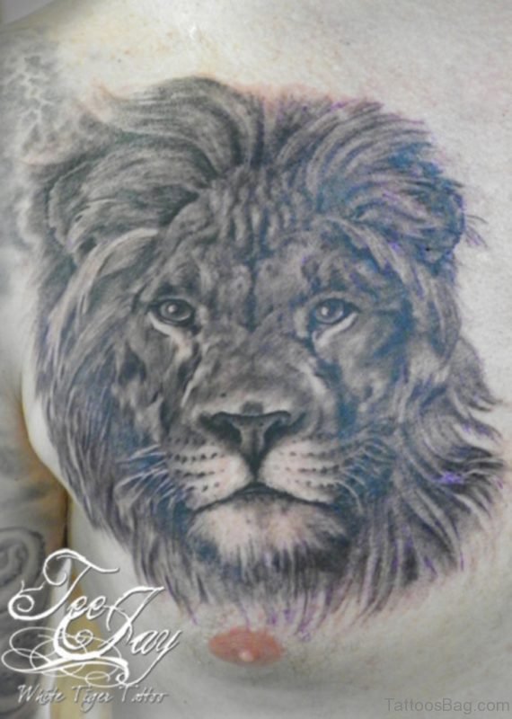 570x800 Good Looking Lion Tattoos For Chest - Lion Head Tattoo Drawing