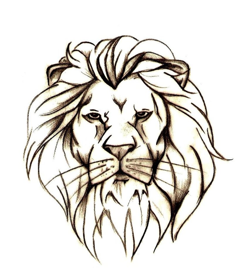 Lion Head Tattoo Drawing at Explore collection of