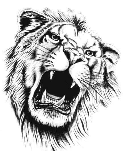 436x529 lion head monochromatic logo for your t shirt coat - Lion Head Tattoo Drawing