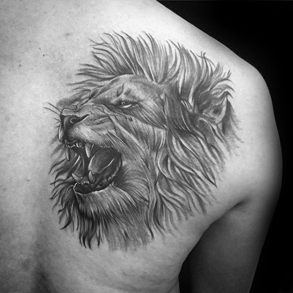 599x599 Lion Shoulder Tattoo Designs For Men - Lion Head Tattoo Drawing
