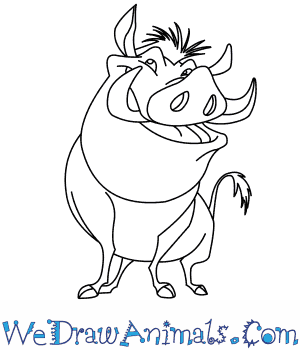 300x350 How To Draw Pumbaa From The Lion King - Lion King Characters Drawing
