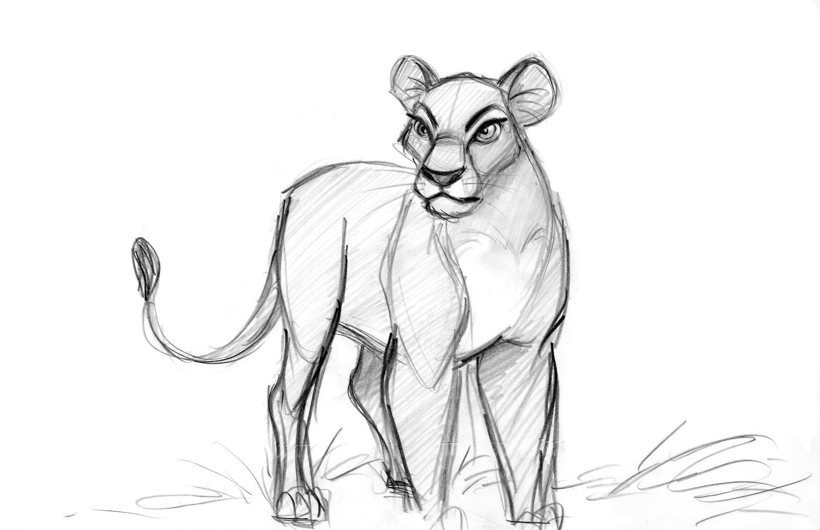 1600x1035 Character Concept Art The Lion King - Lion King Characters Drawing