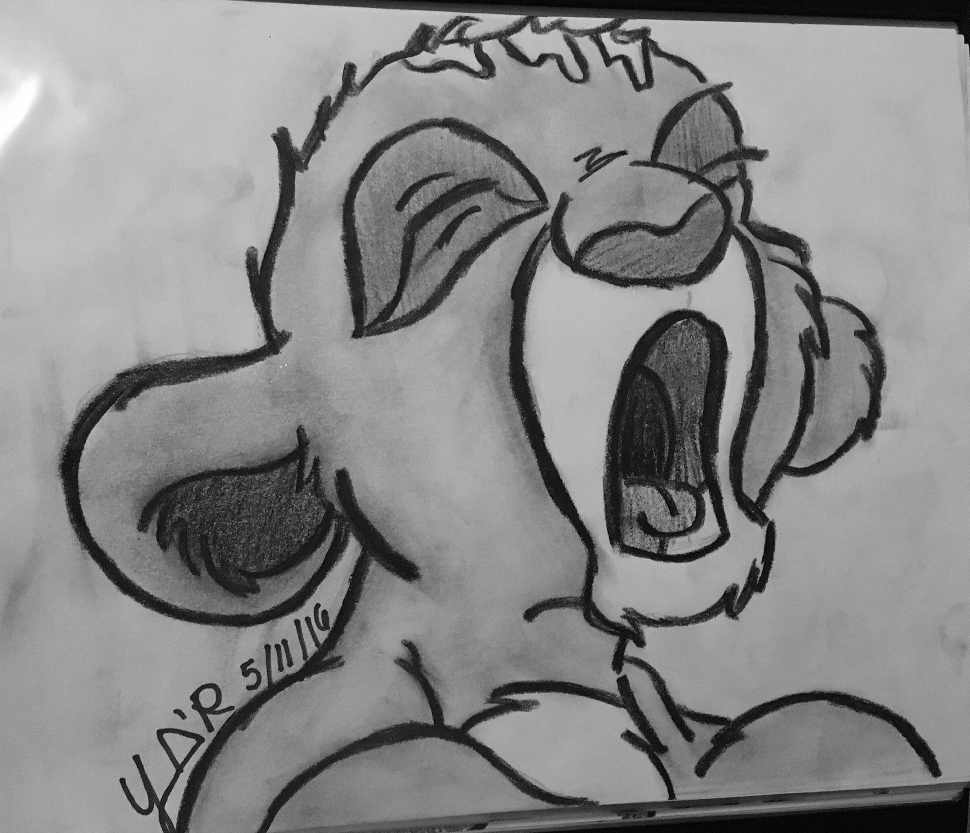1920x1649 Yaralismar Diaz - Lion King Characters Drawing