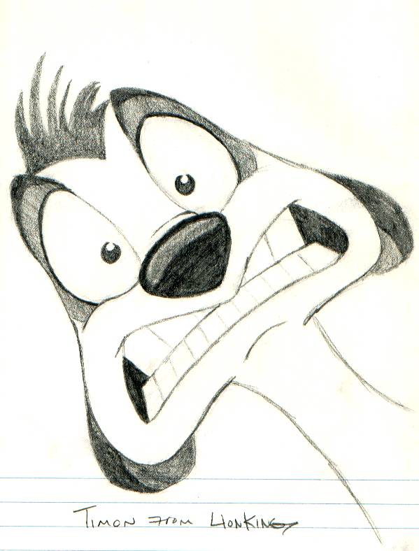 599x788 Timon - Lion King Characters Drawing
