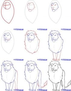 236x304 Huge Collection Of 'lion Drawing Tutorial' Download More Than - Lion King Drawing Tutorial