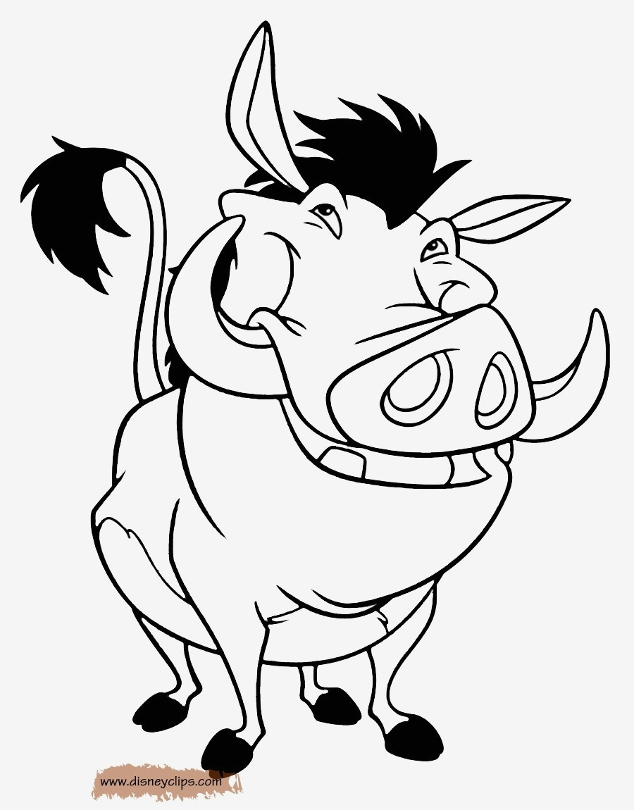 900x1150 elegant lion king drawings - Lion King Lion Drawing