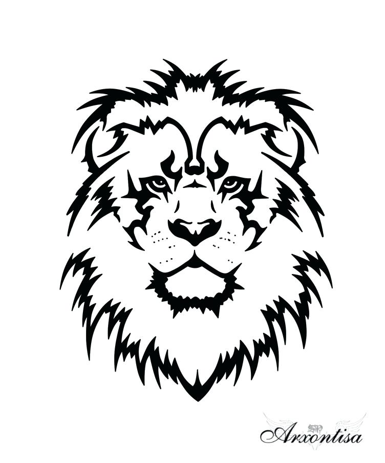 752x904 lion drawing outline outline lion tattoo drawing animal tattoo - Lion King Lion Drawing