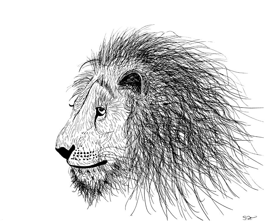 900x742 lion king drawing - Lion King Lion Drawing