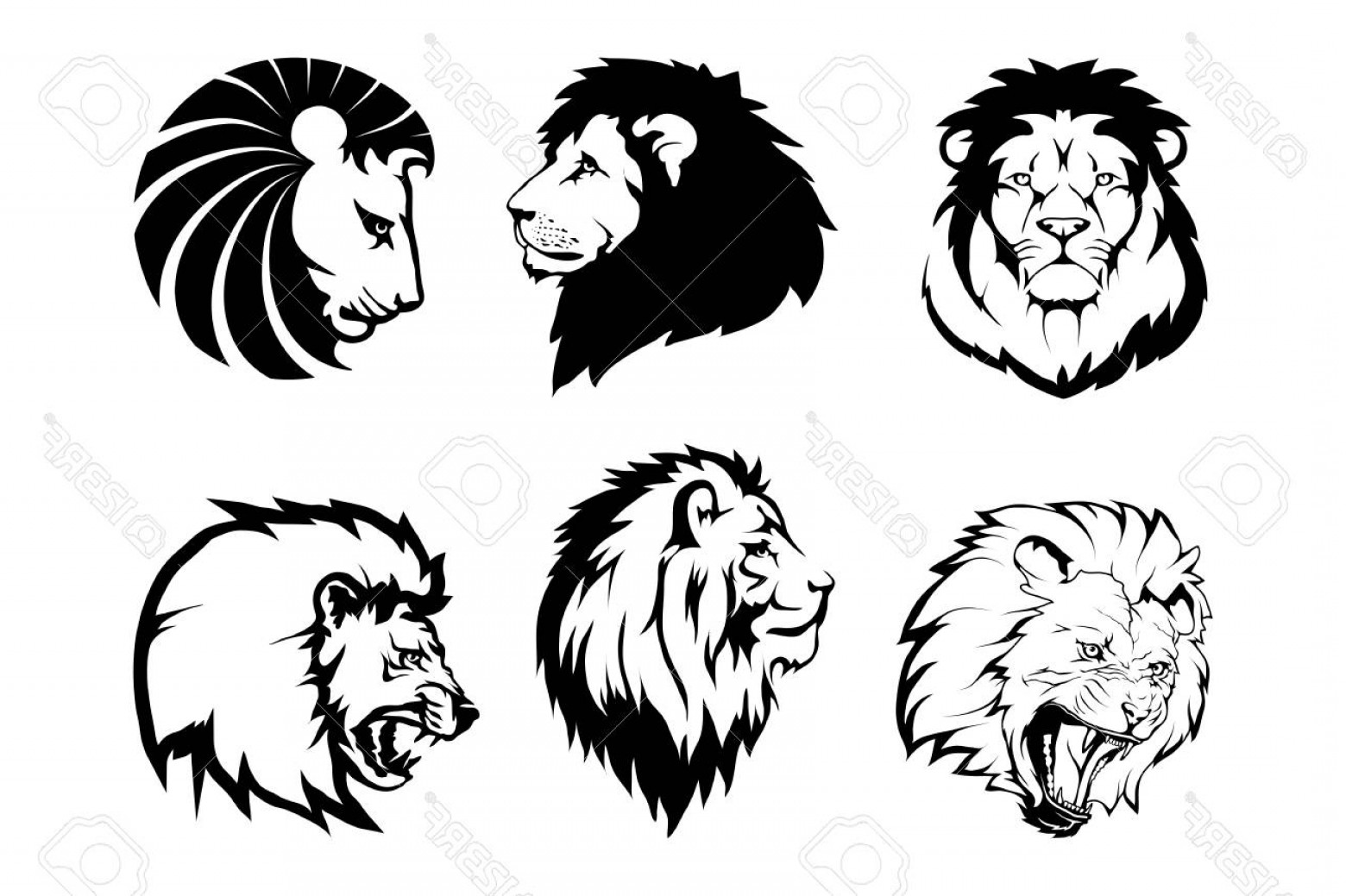 1560x1039 photostock vector lion logo vector animal lion king lion isolated - Lion King Lion Drawing