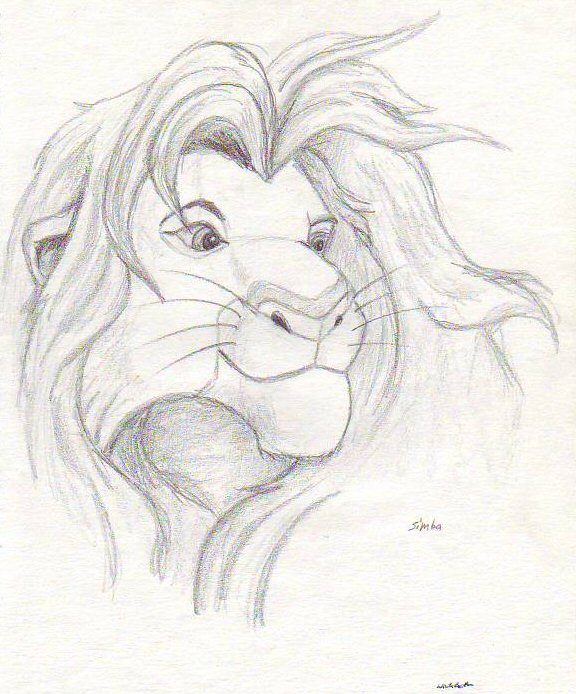 576x694 pictures lion king pencil drawing - Lion King Lion Drawing