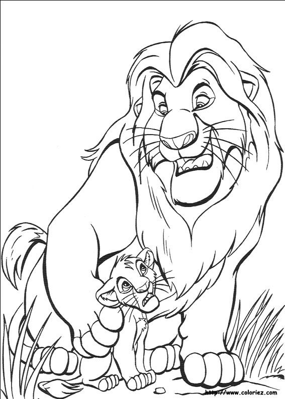 567x794 Coloriage Roi Lion Gtgt - Lion King Mufasa Drawing