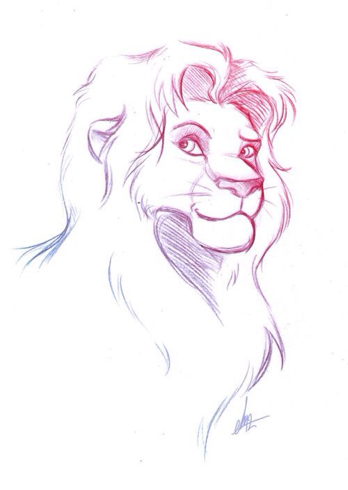 500x704 Lion King Pencil Drawing The Lion Kingdom Drawings, Sketches - Lion King Pencil Drawing