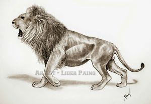 300x207 The Lion King - Lion King Pencil Drawing