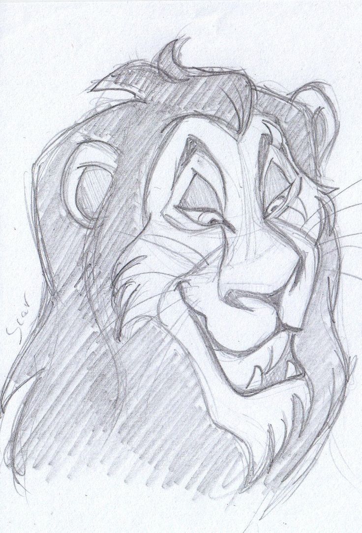 Lion King Pencil Drawing At Explore Collection Of Lion King Pencil Drawing 0565