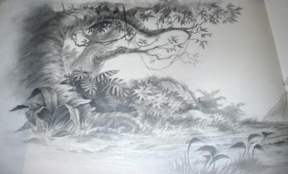 420x255 First Animation Art - Lion King Pencil Drawing