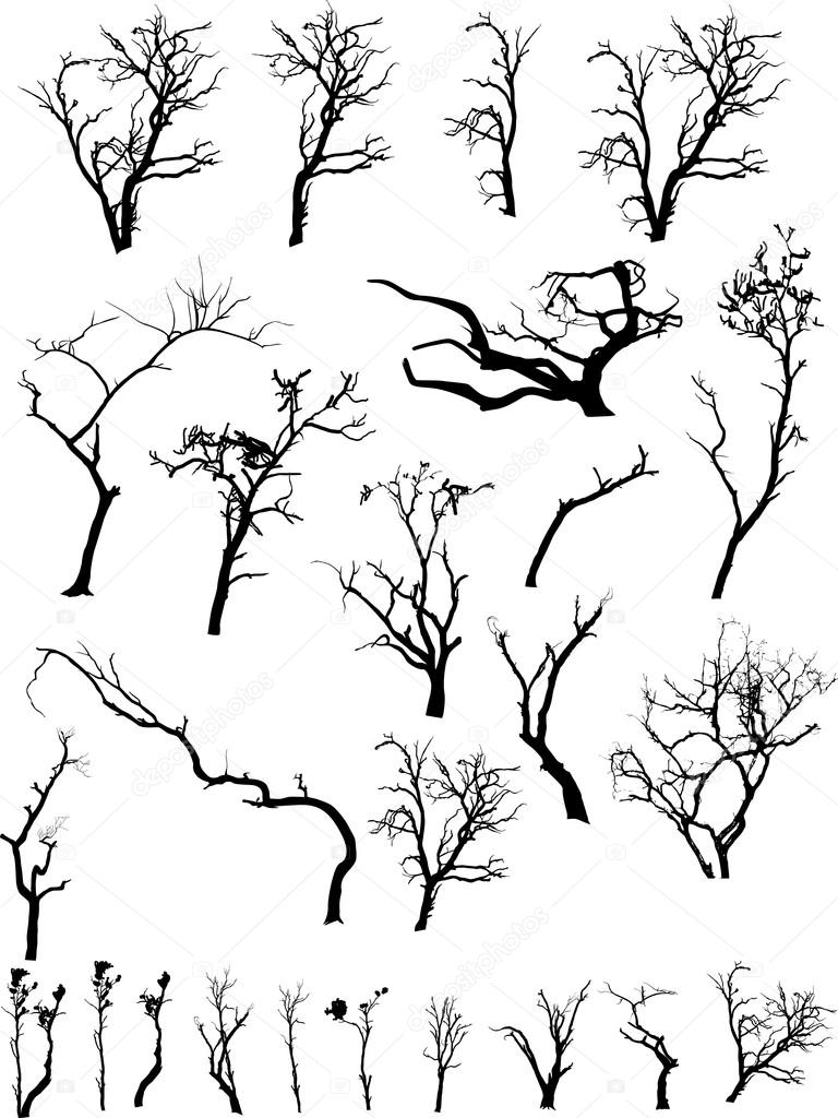 768x1024 lion king lion drawing - Lion King Tree Drawing