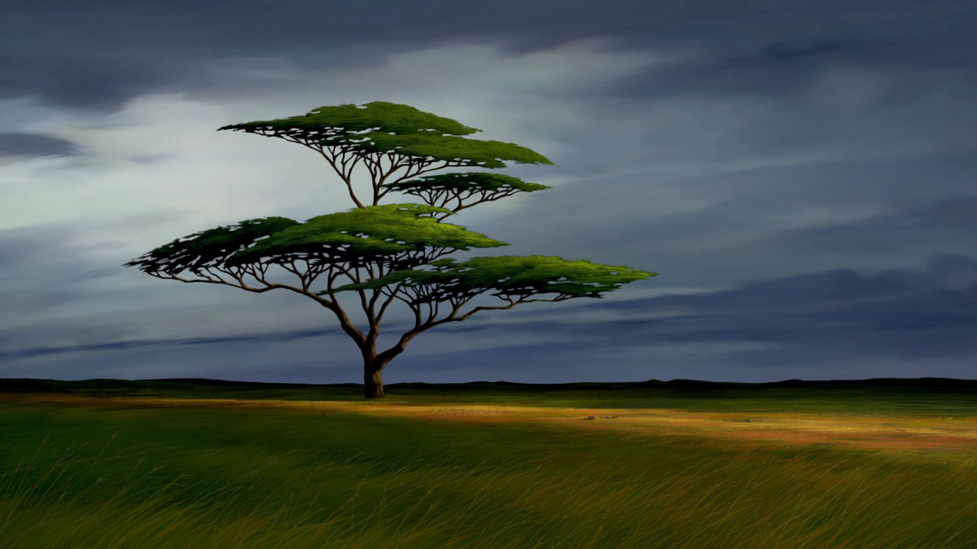 1920x1080 The Lion King Hd Screencaps Gallery - Lion King Tree Drawing
