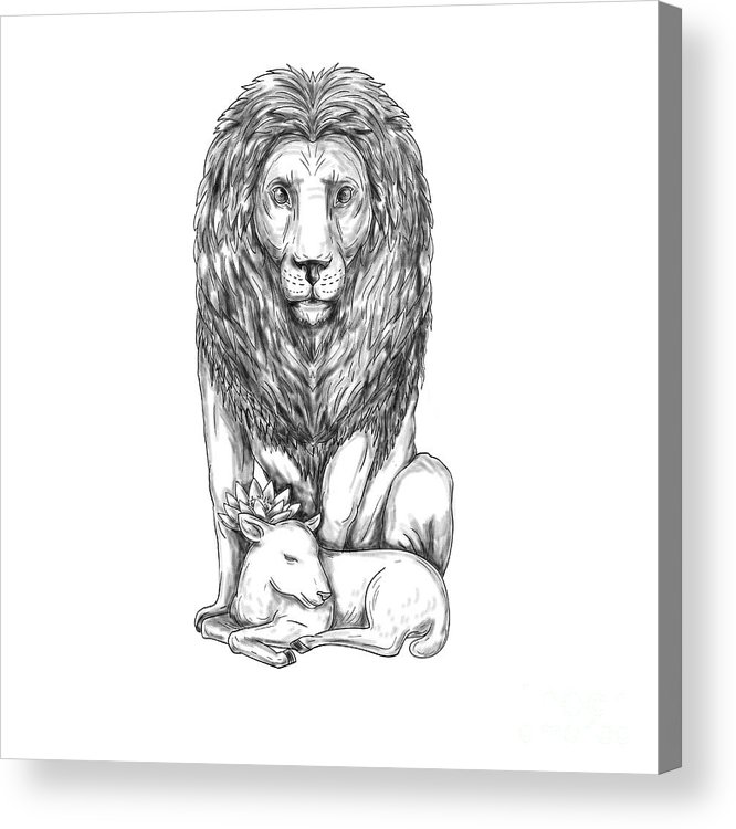 666x750 Lion Watching Over Lamb Tattoo Acrylic Print - Lion Lamb Drawing