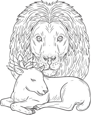 318x400 Lion Watching Over Sleeping Lamb Drawing Buy Photos Ap Images - Lion Lamb Drawing