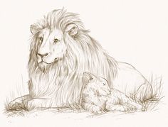 236x179 best lion and lamb images in lion, lamb, lion of judah - Lion Lamb Drawing