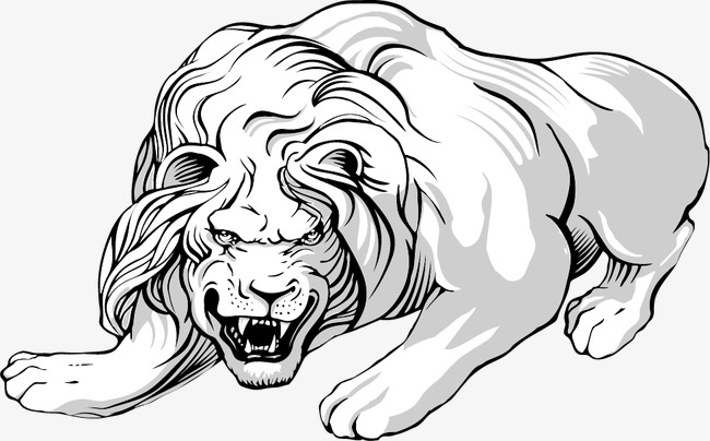 650x404 Line Drawing Animals, Line Clipart, Lion Png Image And Clipart - Lion Line Drawing