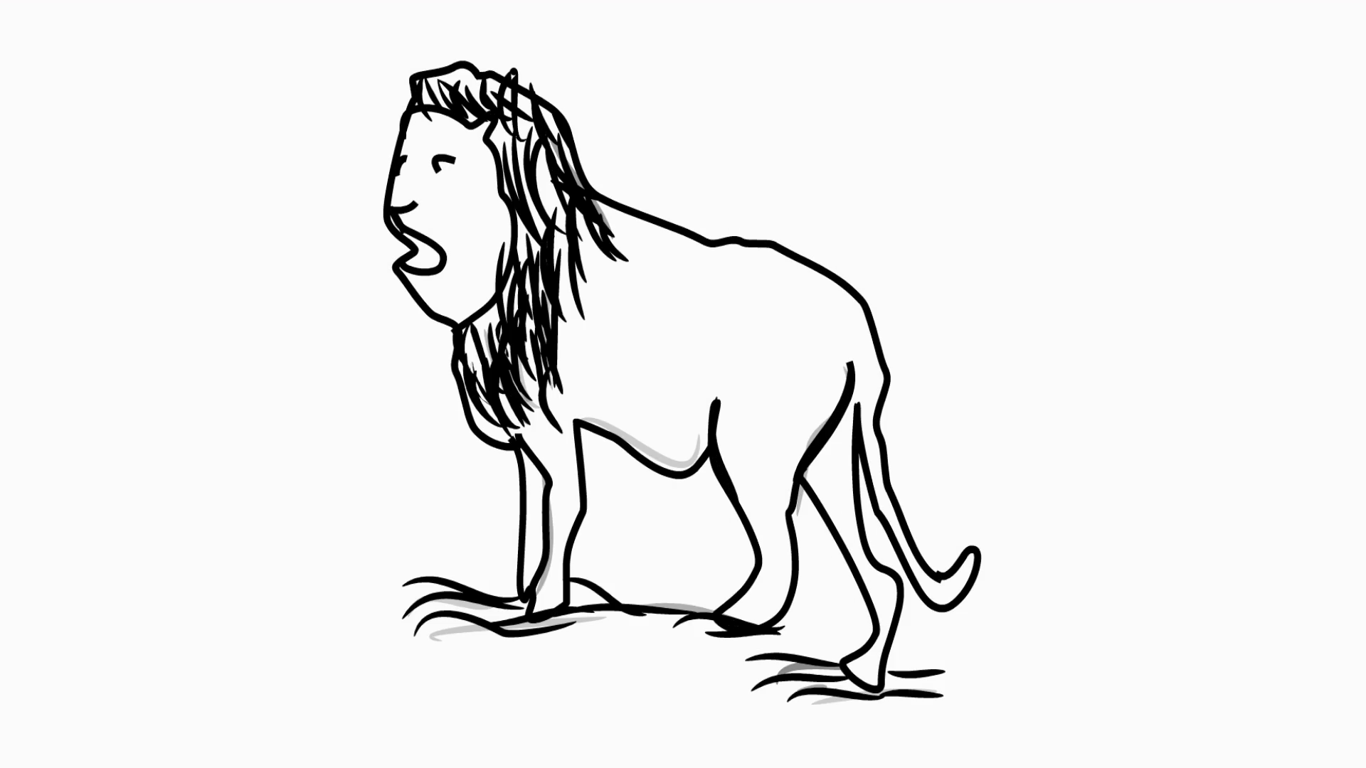 1920x1080 Lion Line Drawn Illustration Animation With Transparent Background - Lion Line Drawing