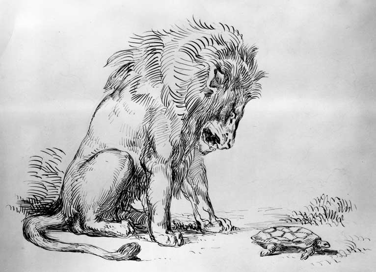 766x555 The Great Lions Of Drawing The Scribbles Institute - Lion Line Drawing