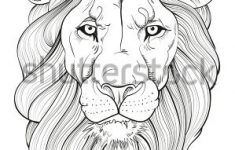 235x150 Lion Head Drawing Line Drawing Lions Head Vector Illustration - Lion Line Drawing