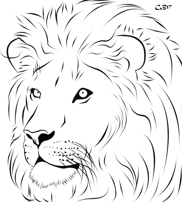 Lion Line Drawing at Explore collection of Lion