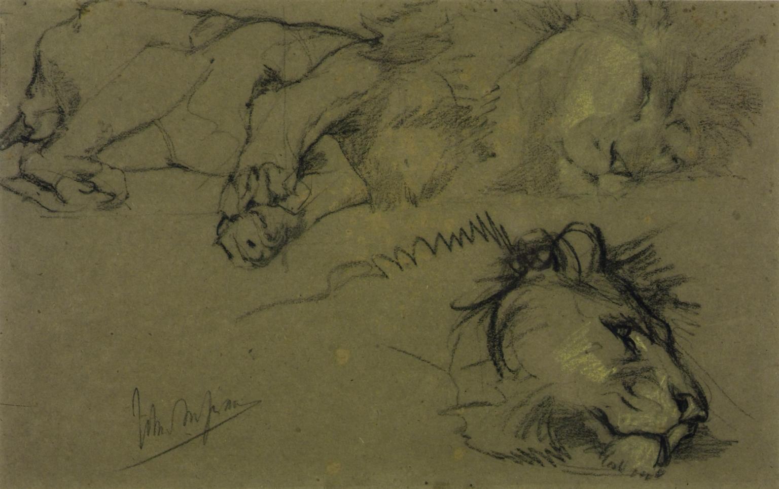 1536x963 Head Of A Lion And Lion Lying Down', John Macallan Swan Tate - Lion Lying Down Drawing