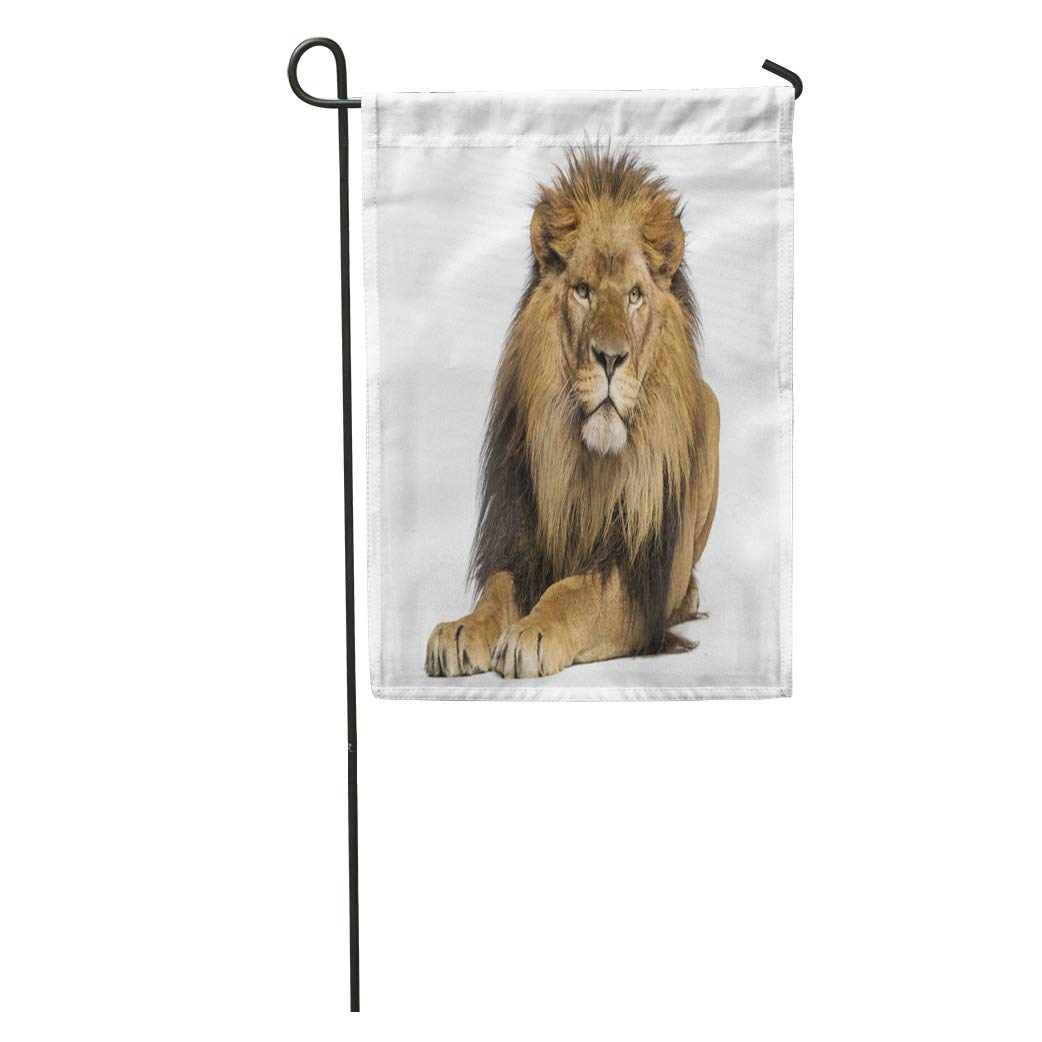 1042x1042 Semtomn Garden Flag Lay Lion Lying Down Facing - Lion Lying Down Drawing