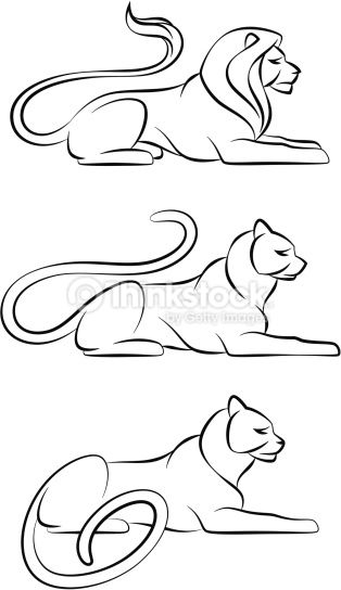 314x544 Lion Lying Down Drawing - Lion Lying Down Drawing