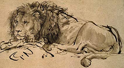 425x233 A Lion Lying Down Rembrandt Circa - Lion Lying Down Drawing