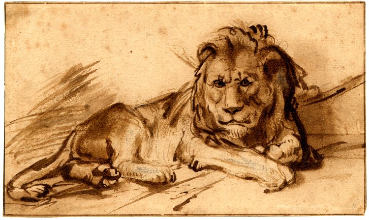 750x448 British Museum - Lion Lying Down Drawing