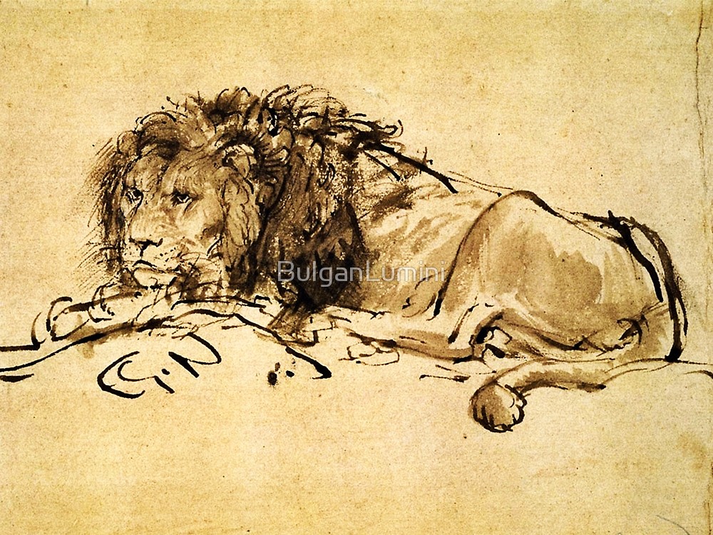 Lion Lying Down Drawing at Explore collection of