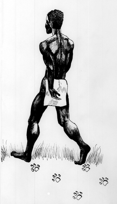 500x868 Illustrations And Photos Lion Man - Lion Man Drawing