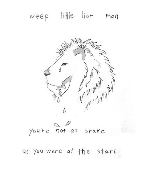 500x573 Music Bampw Little Lion Man Mumford And Sons Skin So Gold - Lion Man Drawing