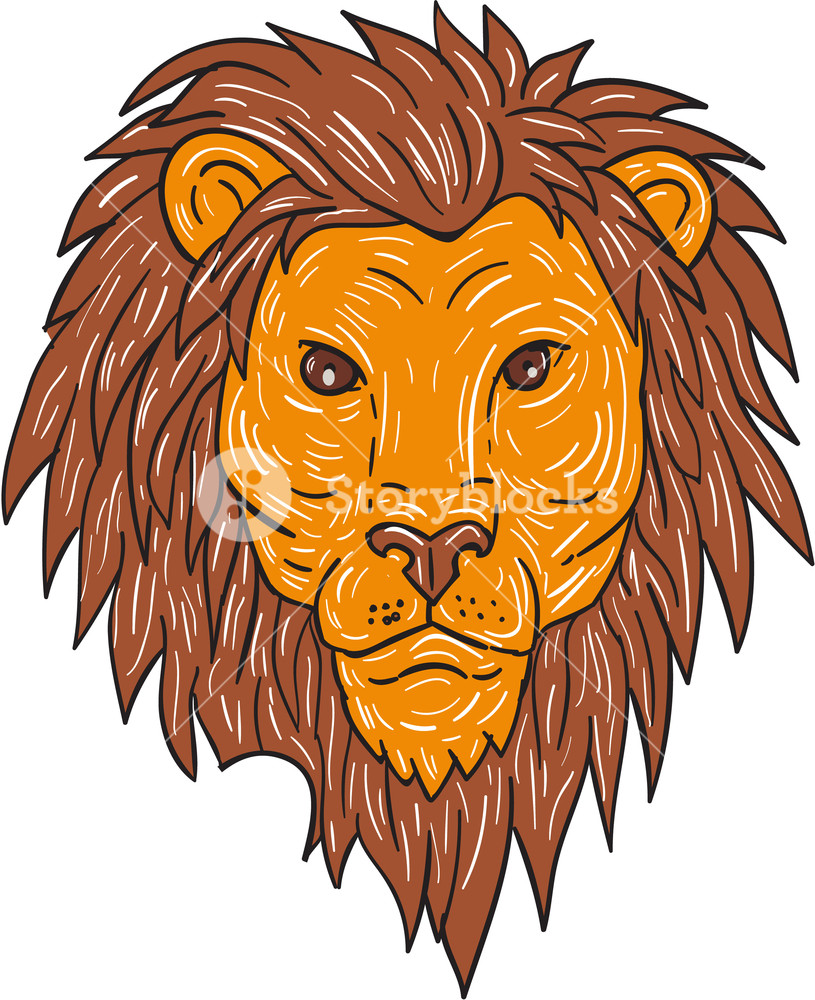 815x1000 Drawing Sketch Style Illustration Of A Male Lion Big Cat Head - Lion Mane Drawing