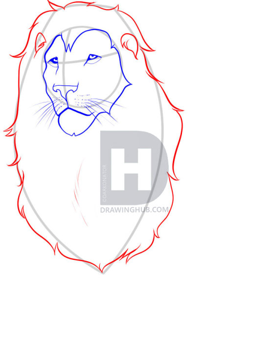 Lion Mane Drawing at PaintingValley.com | Explore collection of Lion ...