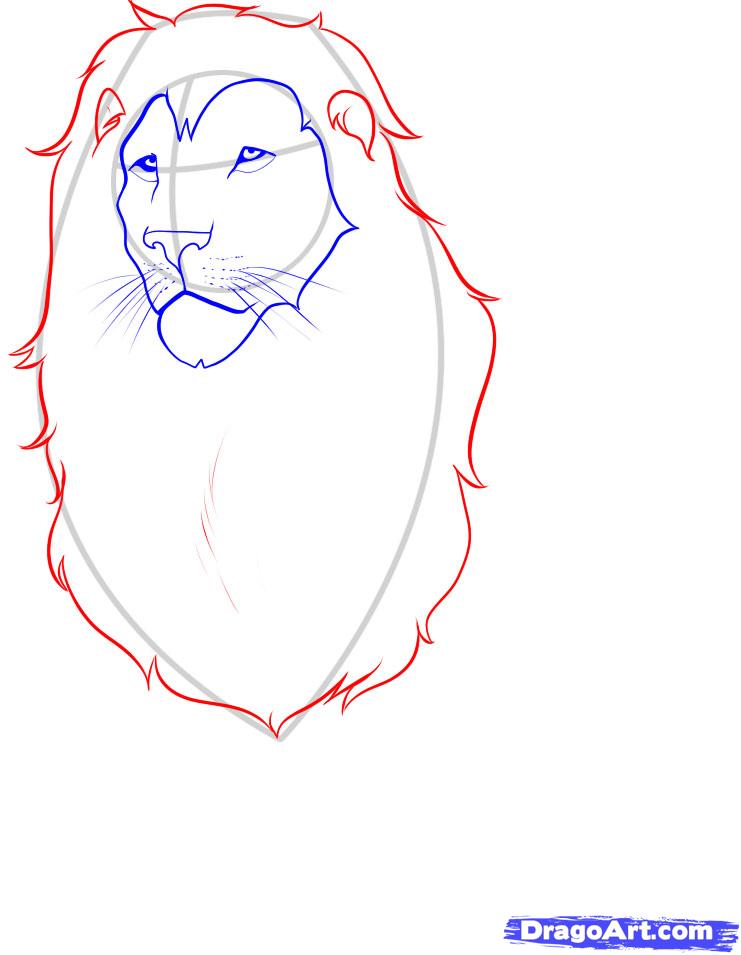 741x955 How To Draw A Lion, Step - Lion Mane Drawing