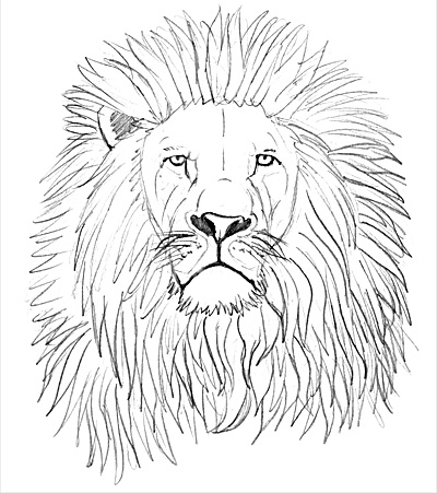 400x451 How To Draw A Lion - Lion Mane Drawing