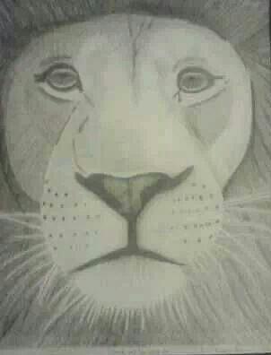 302x396 Lion's Mane Drawing - Lion Mane Drawing