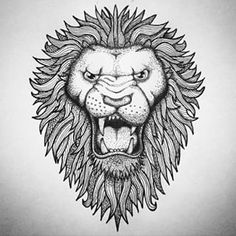 Lion Mane Drawing at PaintingValley.com | Explore collection of Lion ...